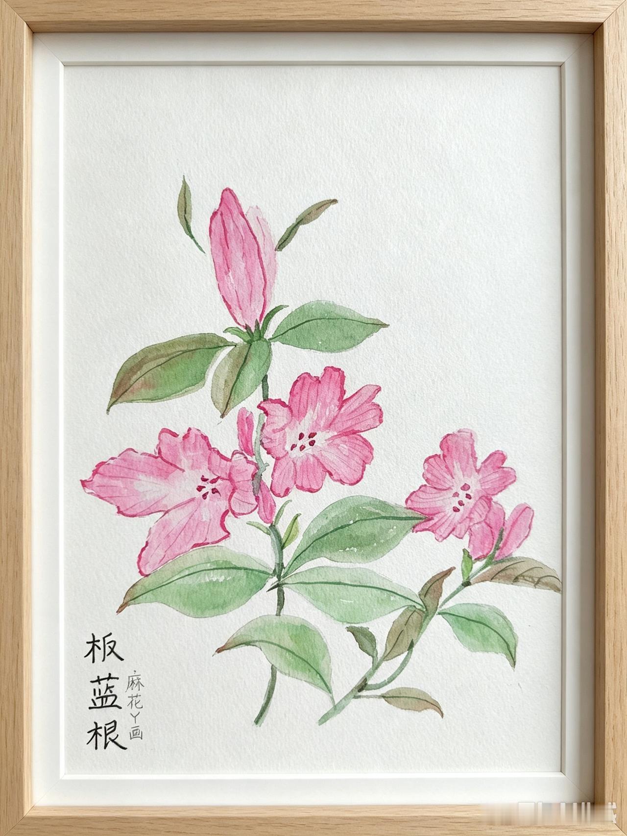 我每天都去公园湖边锻炼，有不少同样锻炼的姐妹天天见面，慢慢就熟了。
自从进入夏天