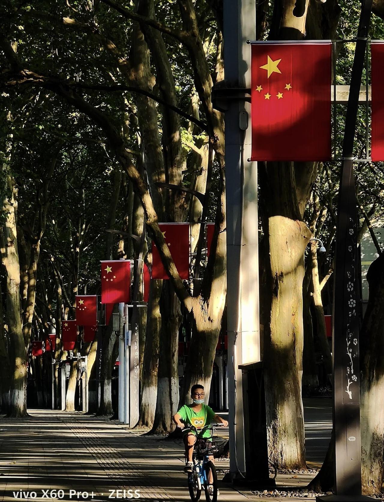 生在红旗下
漫步街头，阳光透过繁茂的枝叶洒下。那一排排鲜艳的五星红旗随风轻扬，闪