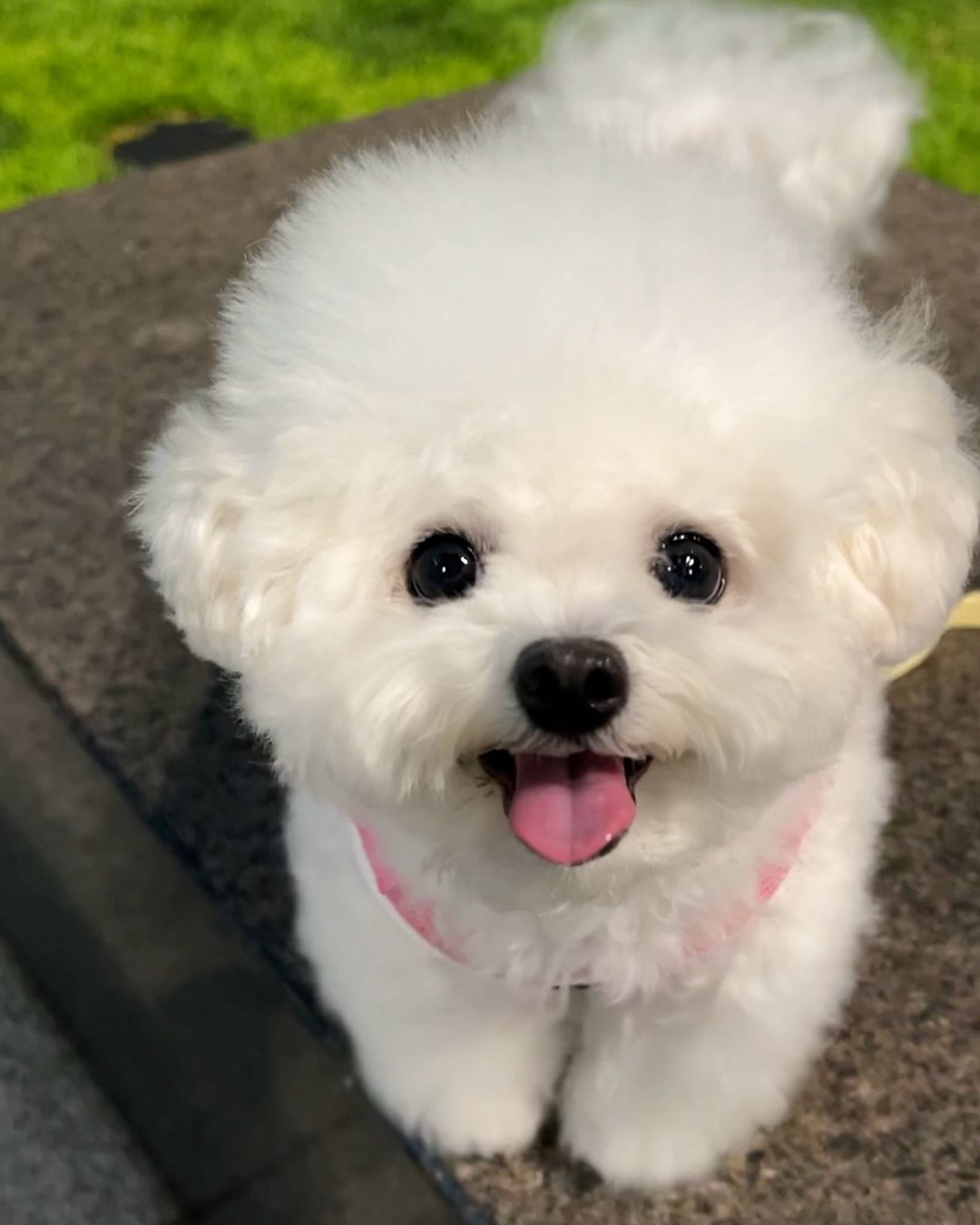 喜欢一个人的眼神是不会说谎的 