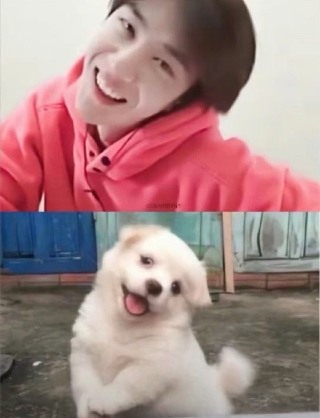 这是谁干的  怪可爱的 ​​​