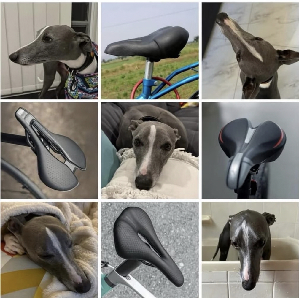 完形填狗狗子在cos车座子这块也是相当权威的