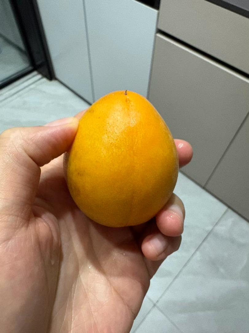 下班的路上碰到一对老人在卖杏，看上去有八十岁了，本来想着家里没人吃，我也嫌酸就算
