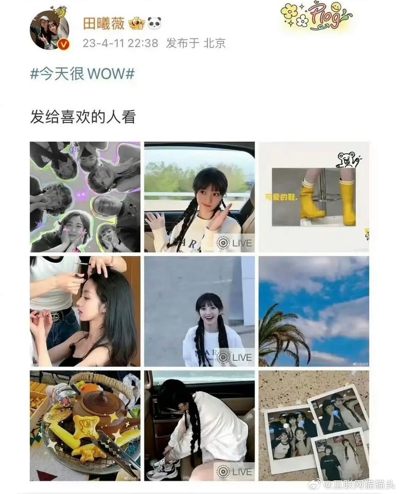 🐮🍩性格感觉蛮像的 howpay🔒死 