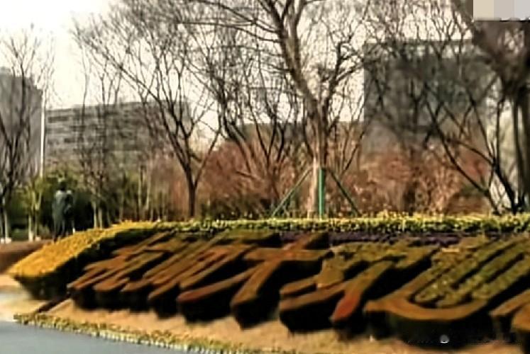 高校经费成“唐僧肉”？杭师大9人翻车，3名校领导栽大了！
 
开年教育圈就爆大瓜