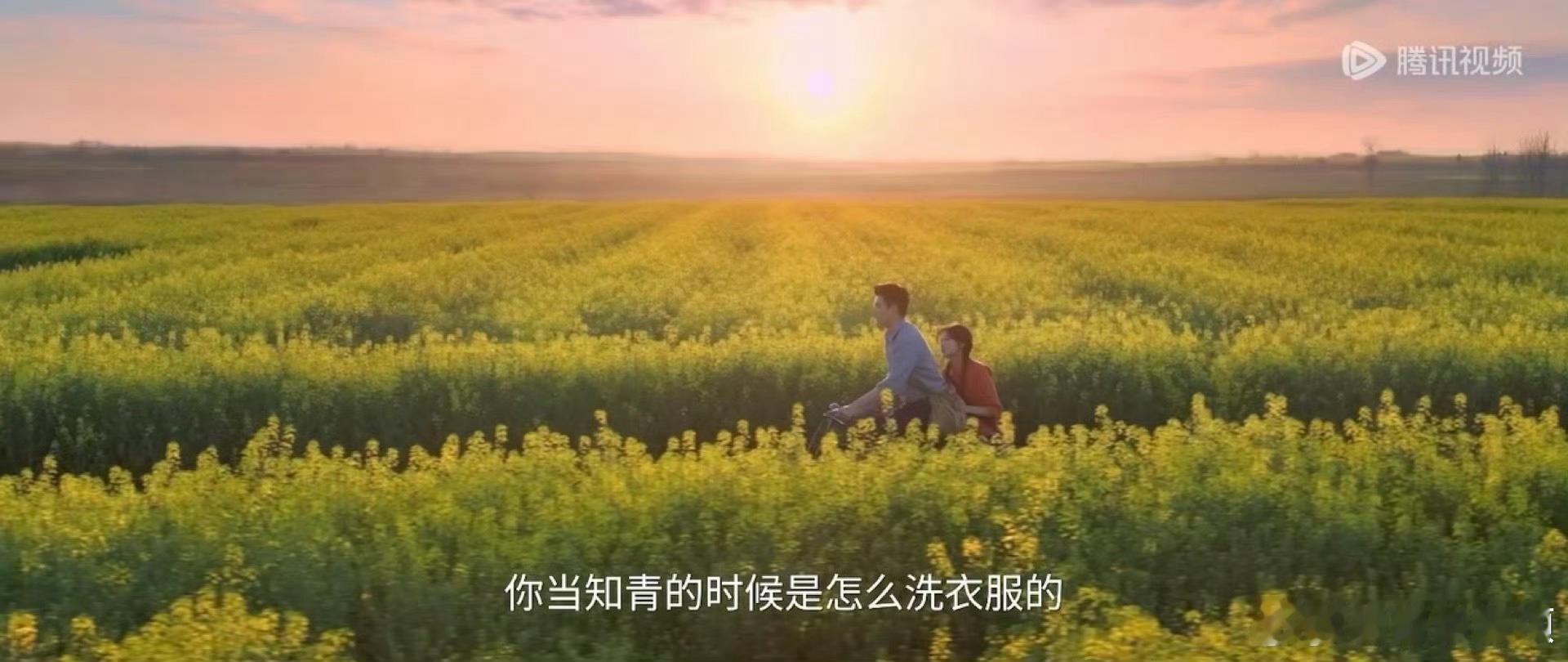 陈飞宇 油菜花田名场面 《纯真年代的爱情》绝美名场面🈶！！陈飞宇油菜花田这段也