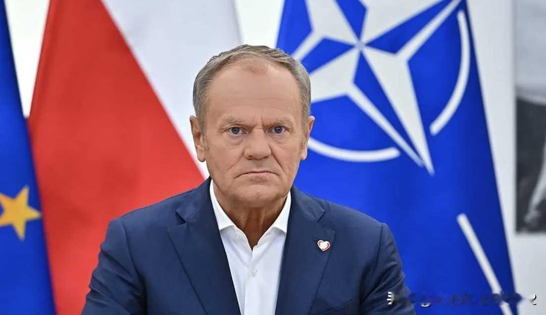 自私自利：波兰总理图斯克指责北约盟友的贪婪

波兰总理图斯克批评北约部分盟友自私