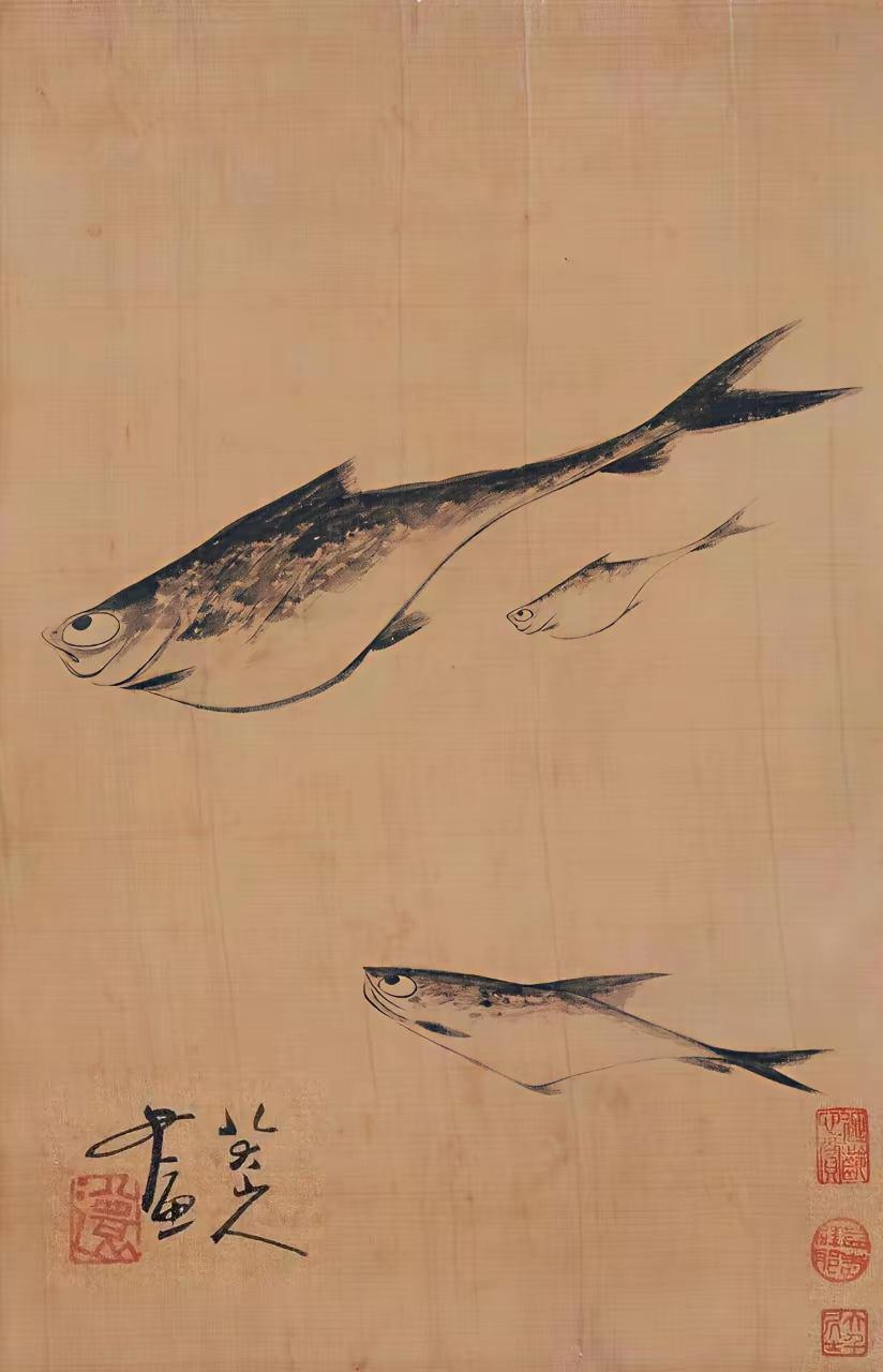 “八大山人”画的鱼眼，
为什么都是翻白眼？