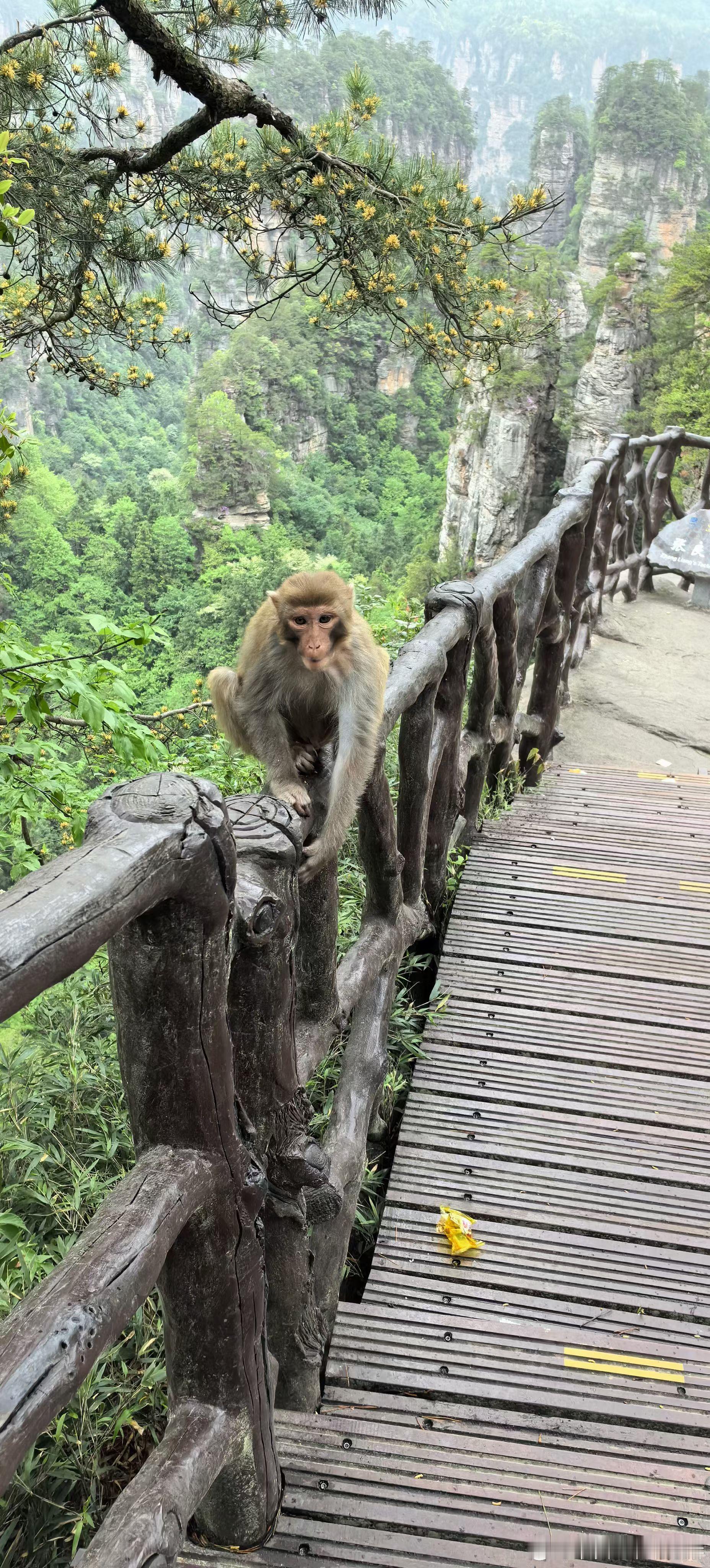 生活手记付出真心是爱的核心底色，无真心的相处不过是流于表面的敷衍与逢迎，难有真挚