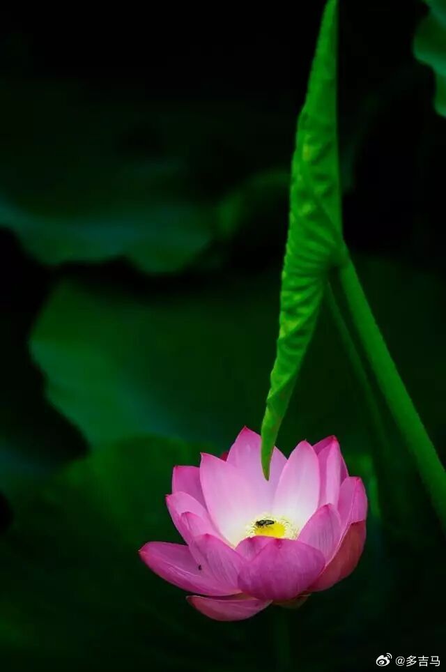 好的婚姻，离不开三样内核：朝夕相伴的两个人、烟火同食的默契、深夜谈心的共鸣。同食