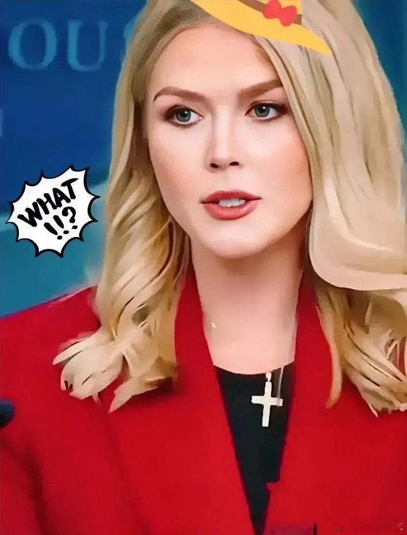 美国白宫消息:2025年11月25日，白宫新闻秘书莱维特公开宣布，本周内美国总统