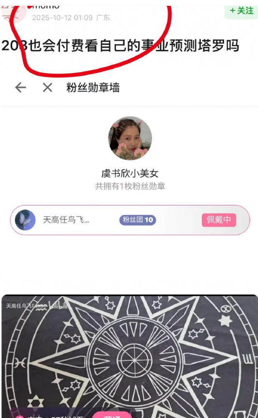 虞书欣付费观看自己的事业预测塔罗虞书欣付费看自己的事业预测塔罗虞书欣尝试用塔罗探