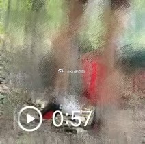 野餐景色哦～ 