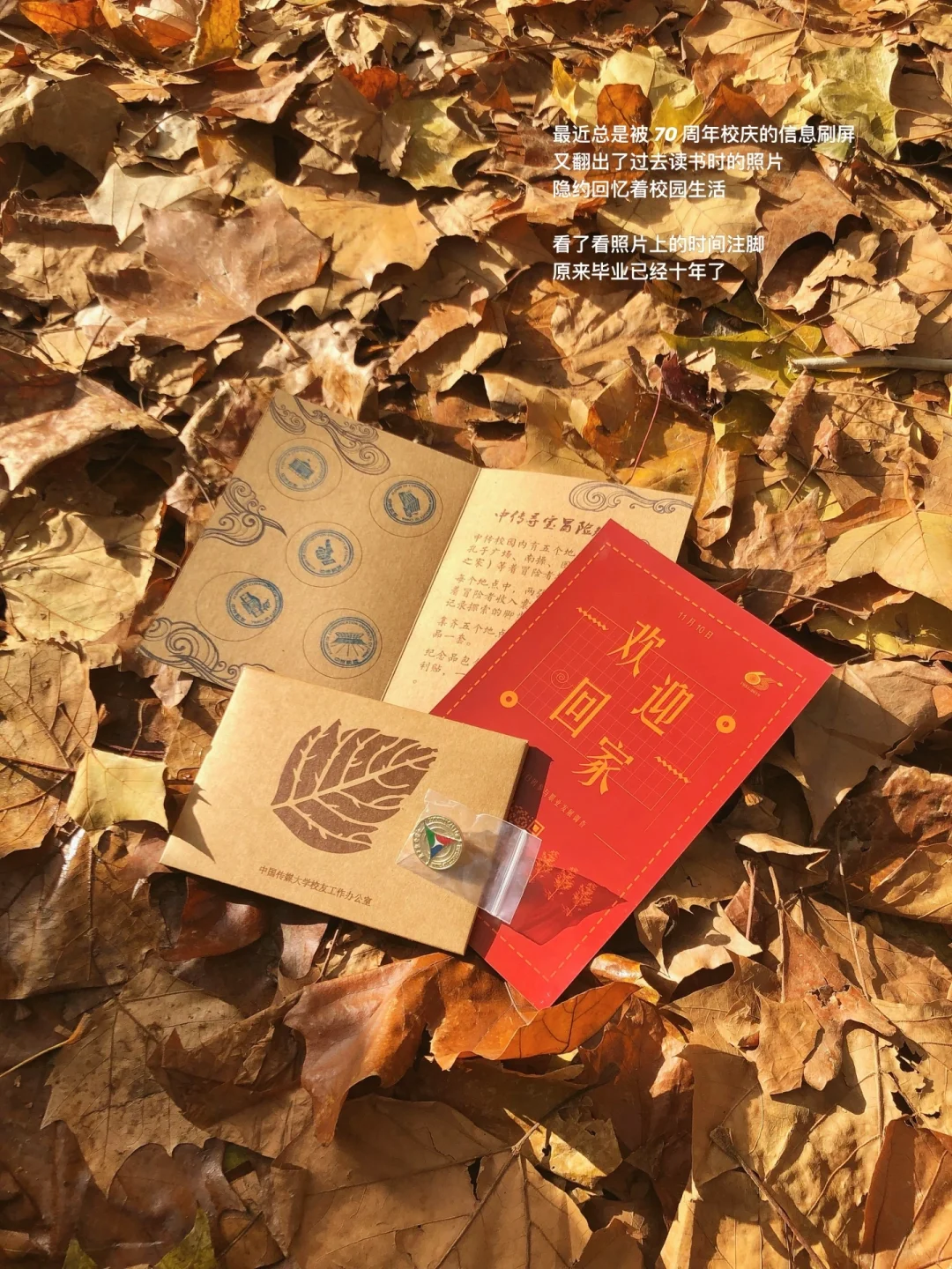 中传校庆｜可以说，是广院完整了我