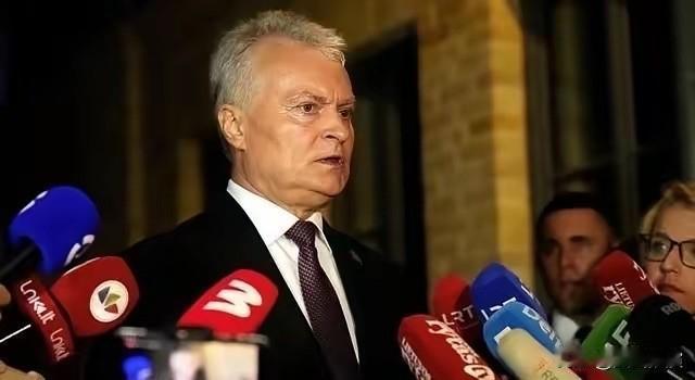 曾自取灭亡的立陶宛总统瑙塞达，中国没有迁就他

立陶宛主动做出不当举动，我们全程
