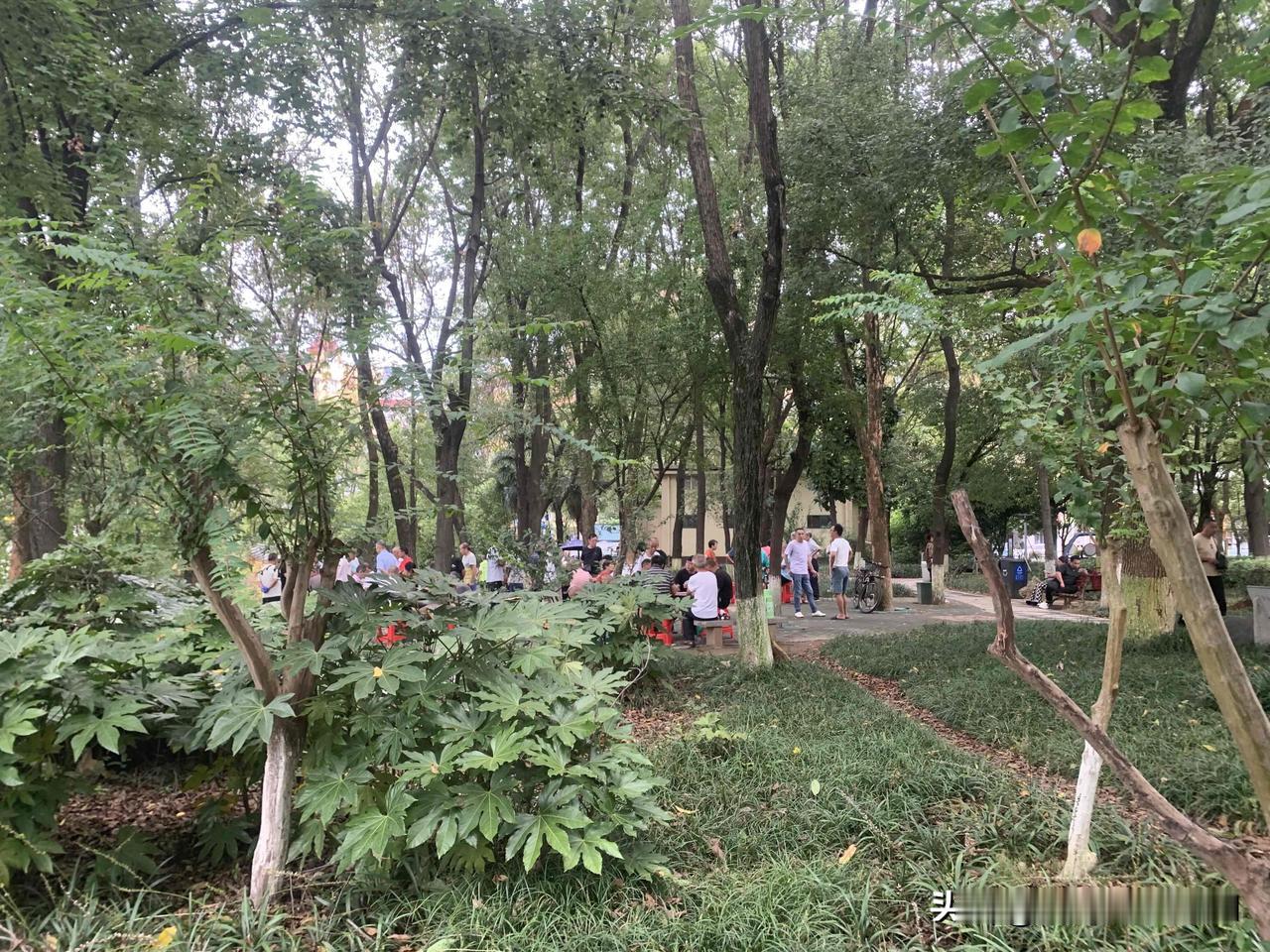 木桶理论为什么是错的？这个提问其实并不妥当

网上常常看到这样的提问：木桶理论为