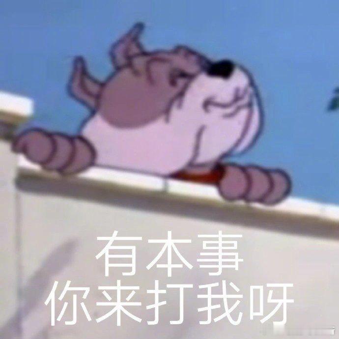 一些很欠揍的表情包[二哈] 