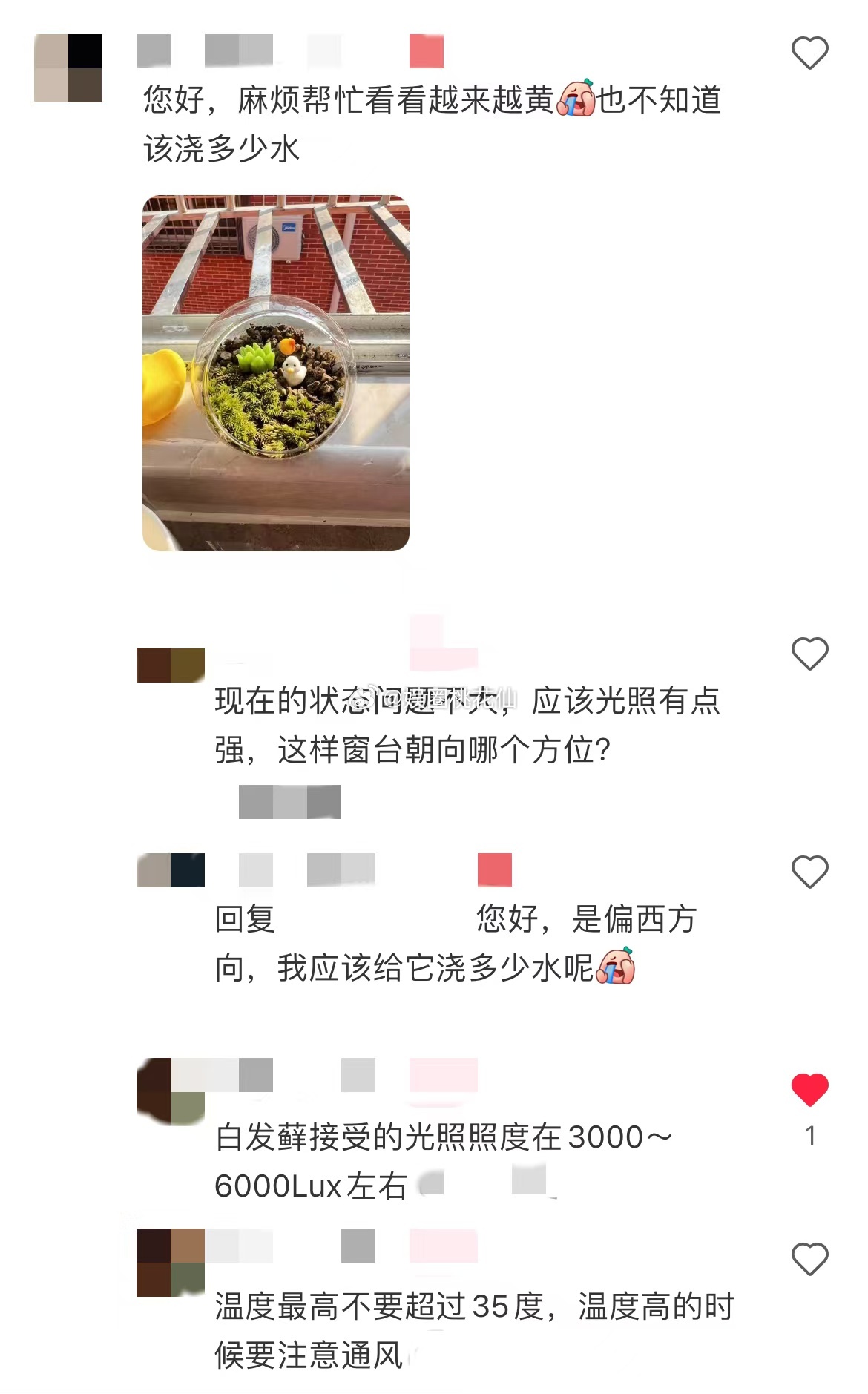 养砖是打工人最早的兴趣邪修 工位窗台摆着块捡来的破砖，倒点水泡着玩，打工人的快乐