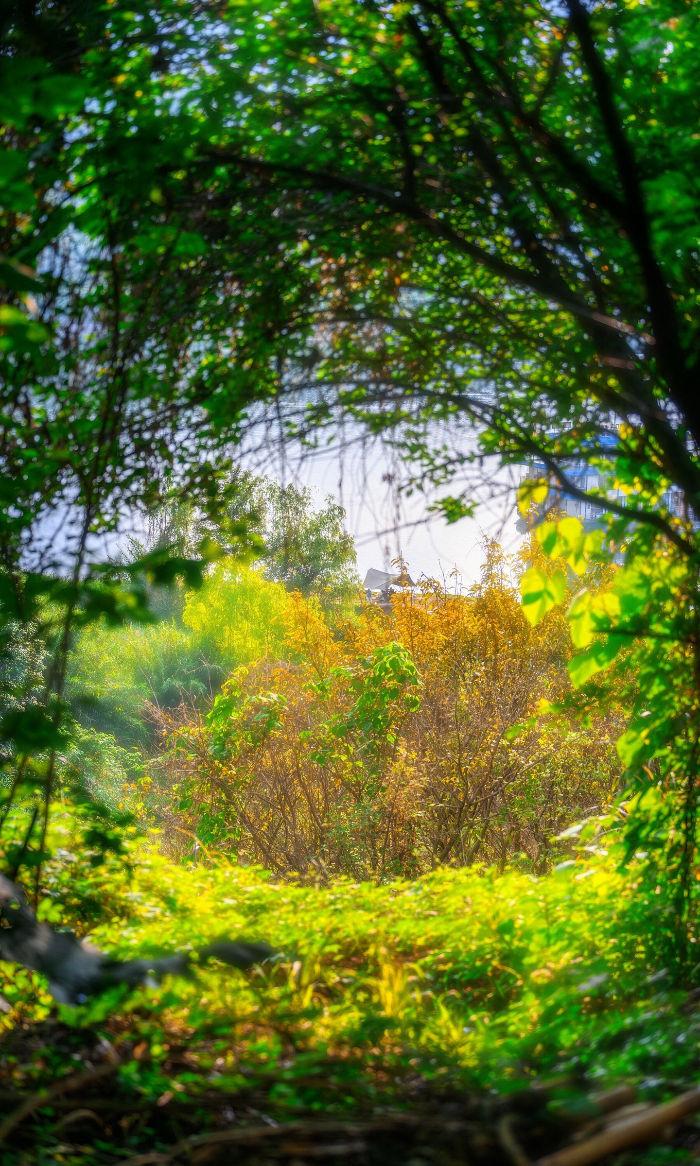 A股这周剩下的时间不好玩，我昨天提示过风险了。自己注意风控。 