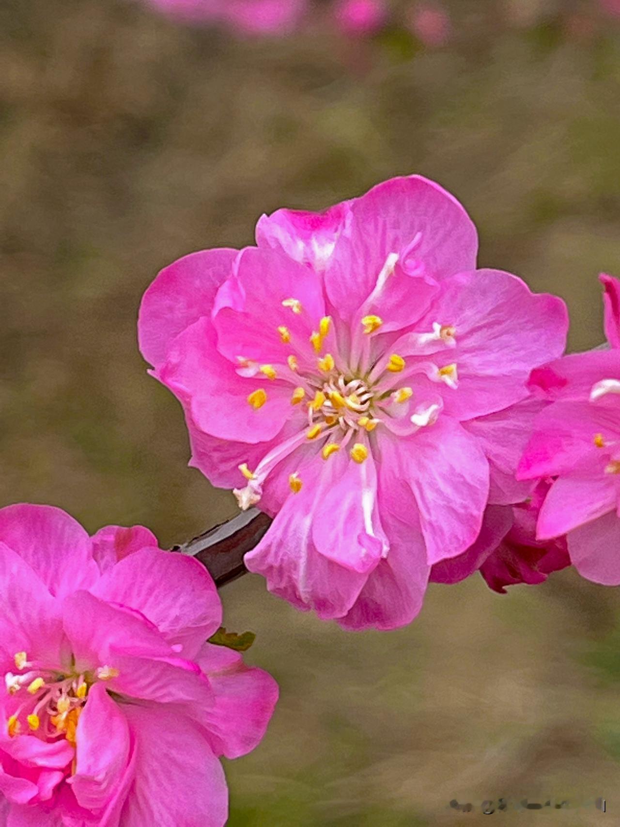 #什么样的男人会找到一个大龄剩女?#
条件不好的、丧偶、离异的60多岁的男人会找