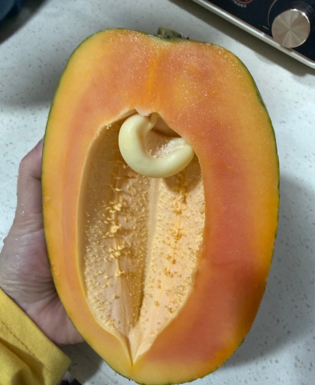 这是木瓜儿子吗？能吃吗？