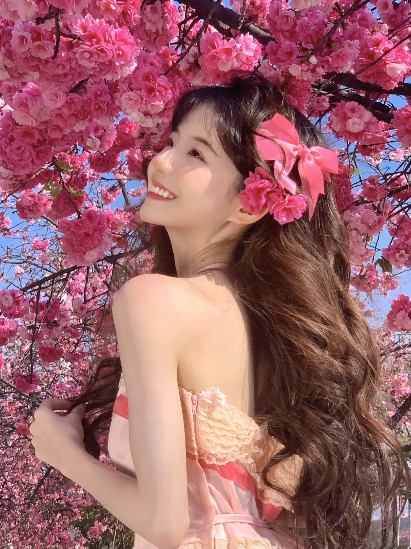 这个季节是属于樱花的