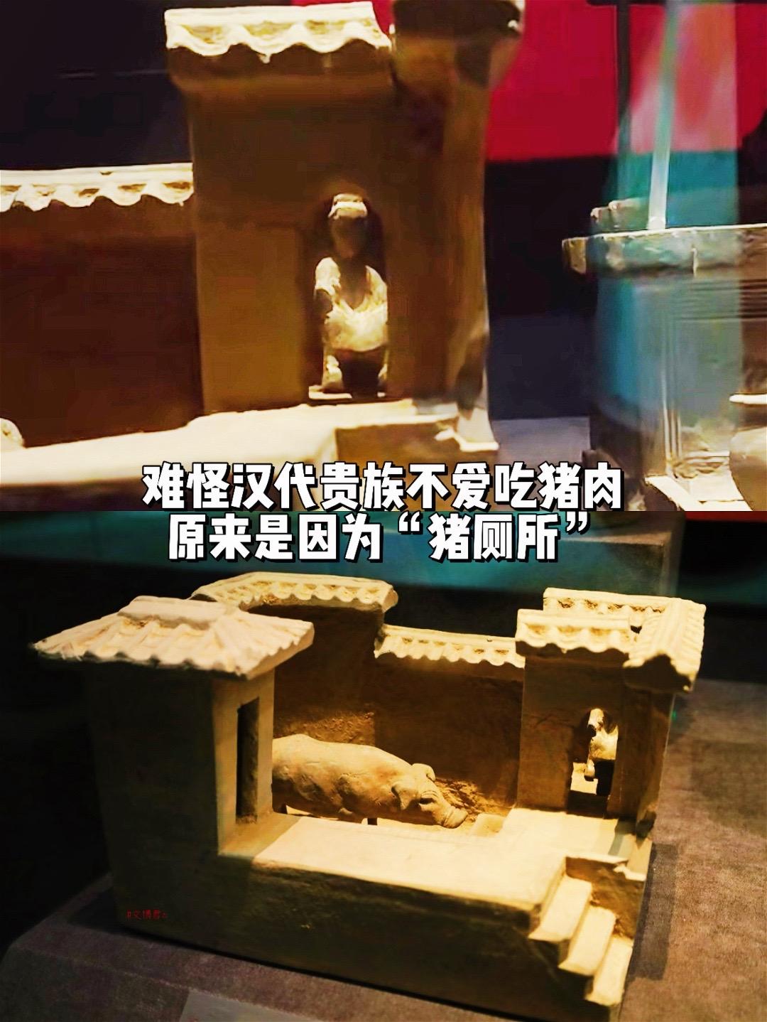没想到汉代厕所还有这妙用！汉代通常将厕所与猪圈相连的连茅圈，高祖鸿门宴...
