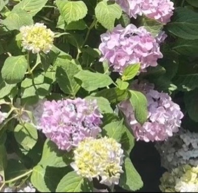 1800知足常乐，岁岁无忧。不贪浮华虚名，不慕世间繁华，珍惜眼前拥有，看淡世间浮