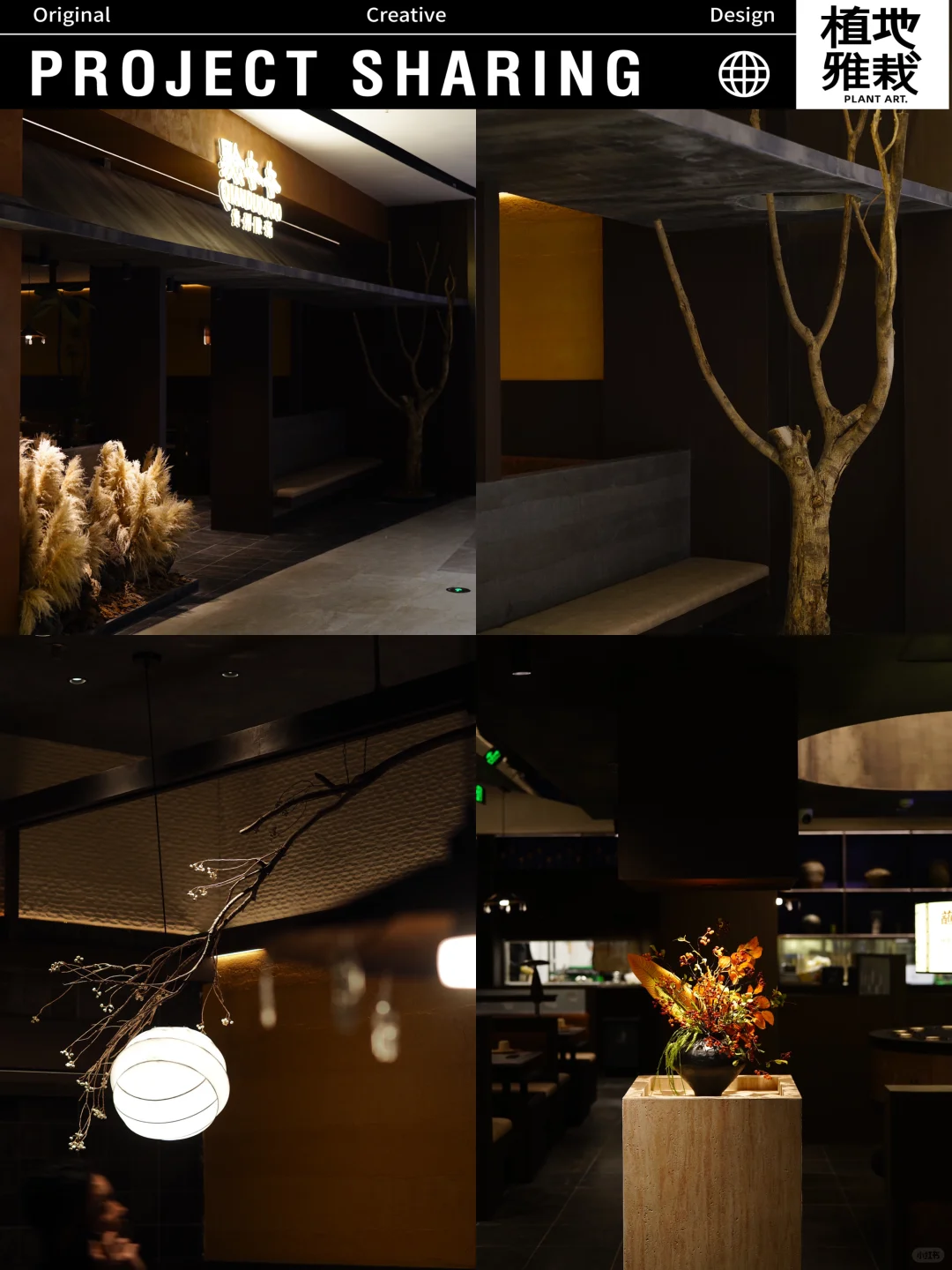 🔥黔夺夺贵州酸汤火锅·植物软装环境打造