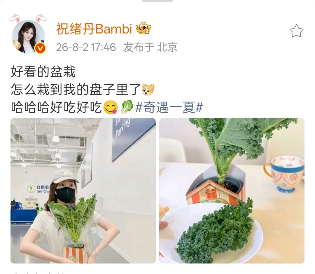 祝绪丹盆栽变盘中餐祝绪丹把盆栽吃了 这把子真是盆栽变盘中餐 