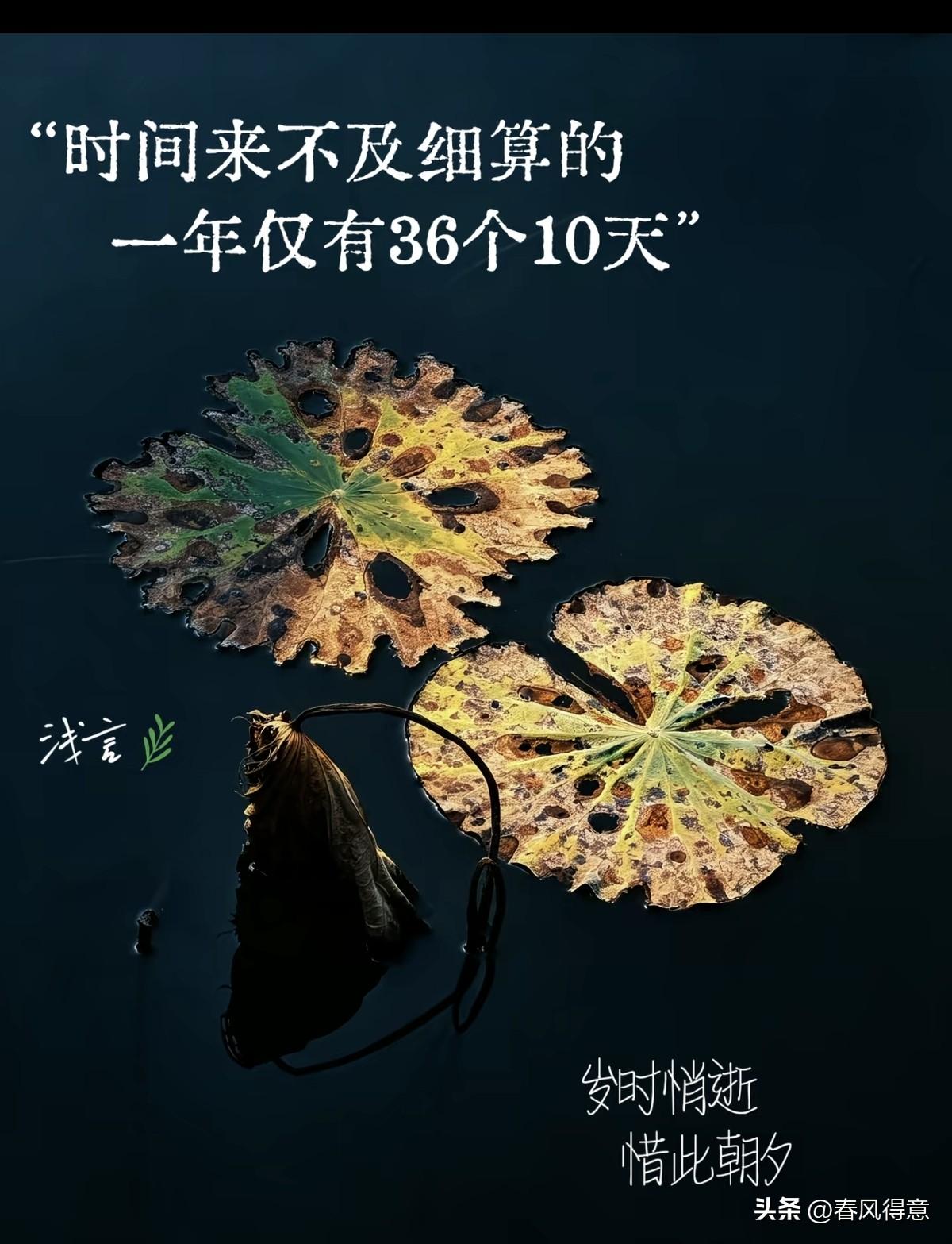 岁时悄逝，惜此朝夕！