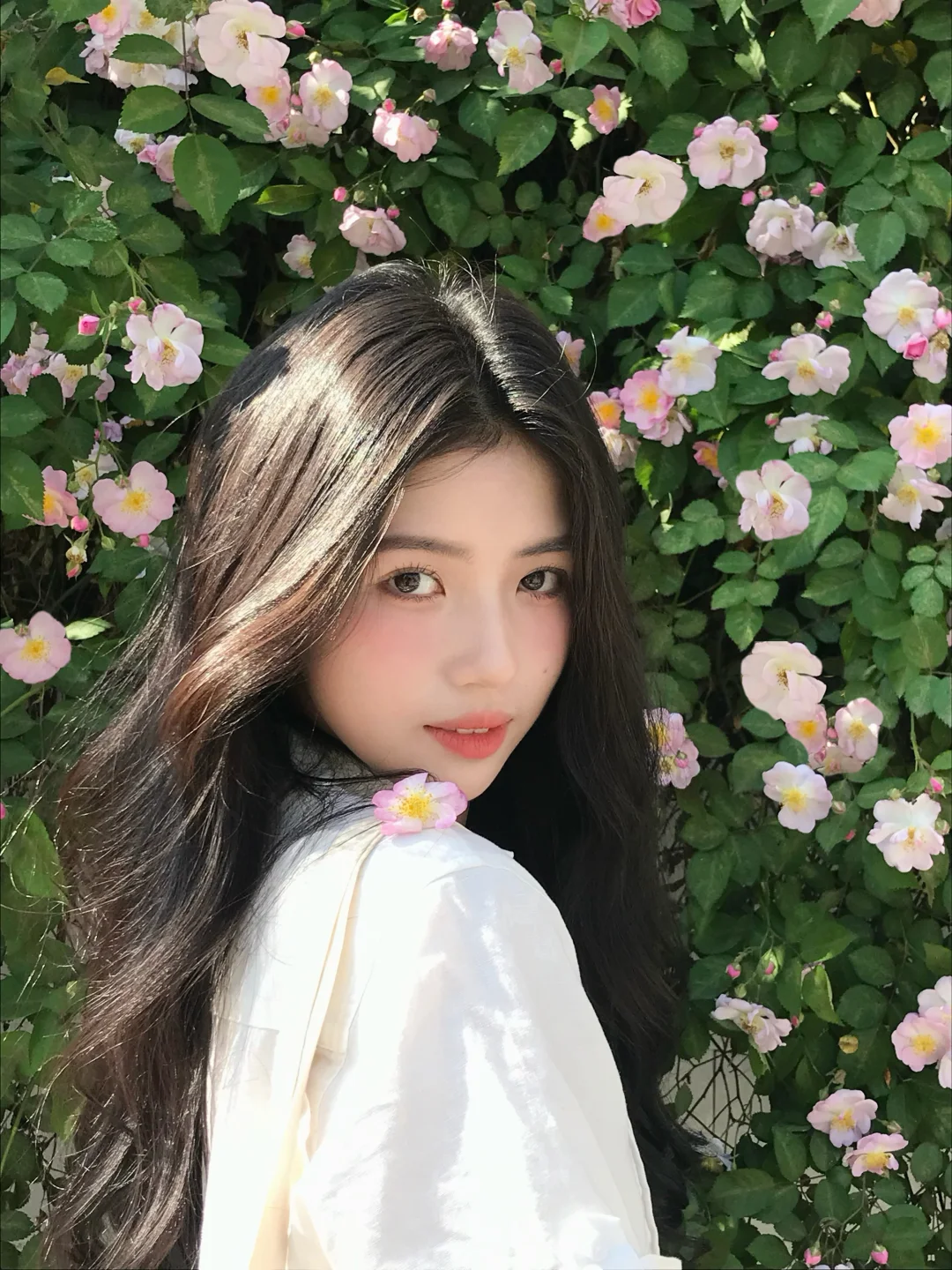 ｡˚ꕤ.ﾟ蔷薇花墙