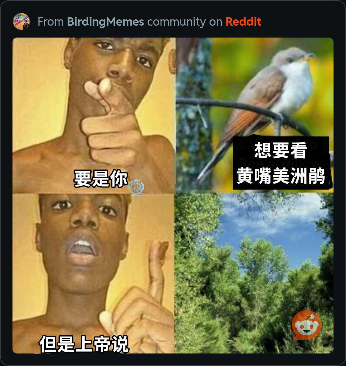 上帝牙缝塞韭菜（9gag）今日meme[超话] 今日memes ​​​