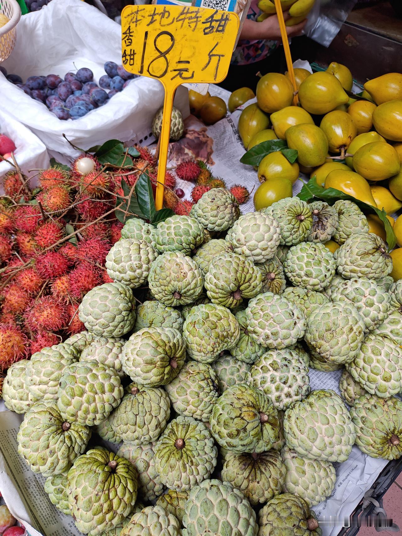 广州早市，菜档水果，番荔枝18，蛋黄果15，连州水晶梨5，蜜柚4。广州美食