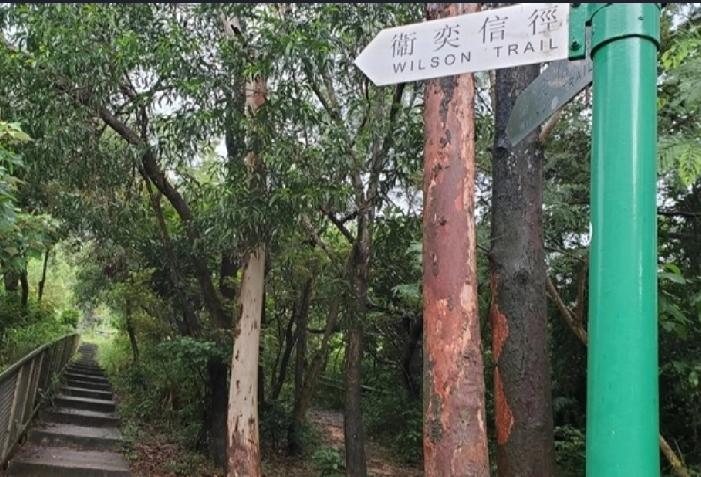 珍惜生命，今日（17日）早上11时50分，有行山人士途经香港蓝田澳景路一山坡处，