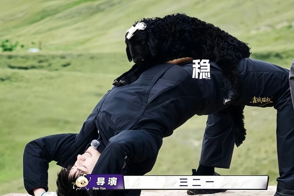 这个腰会不会太软了[笑而不语][憧憬][送花花][点赞][可怜][爱你][馋嘴]