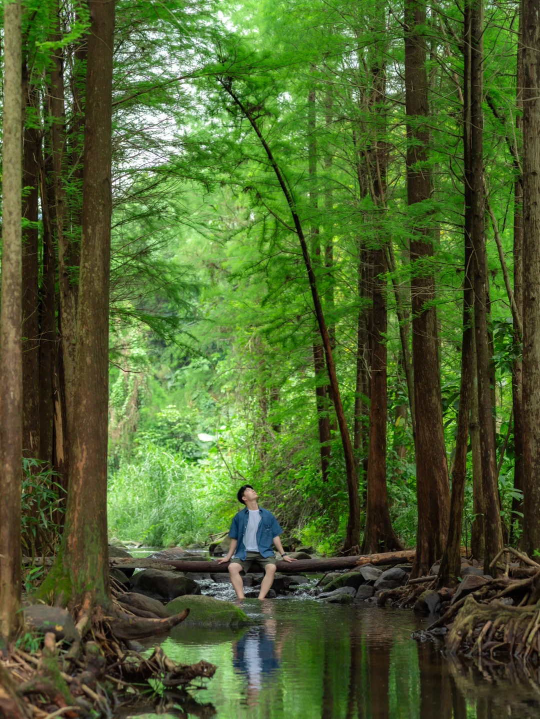 我在深圳找到了现实版的绿野仙踪🏞️