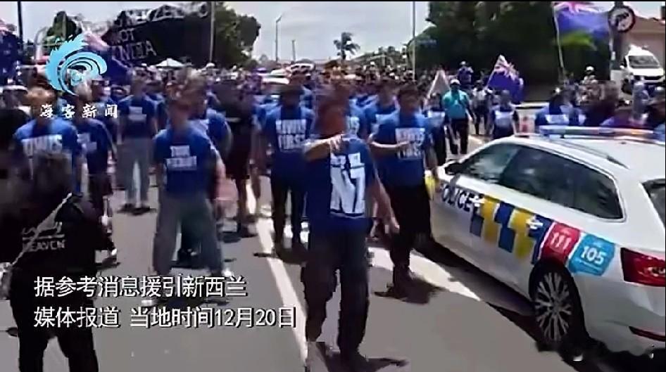 导火索在这里，
2025年11月，新西兰爆发了459名印度移民的驾照全体造假事件