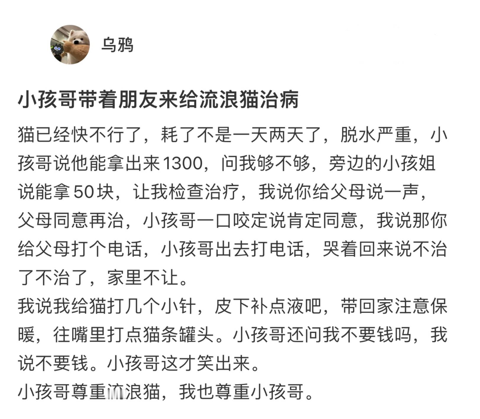 带着流浪猫治病的小孩哥为什么不让救呢…… ​​​