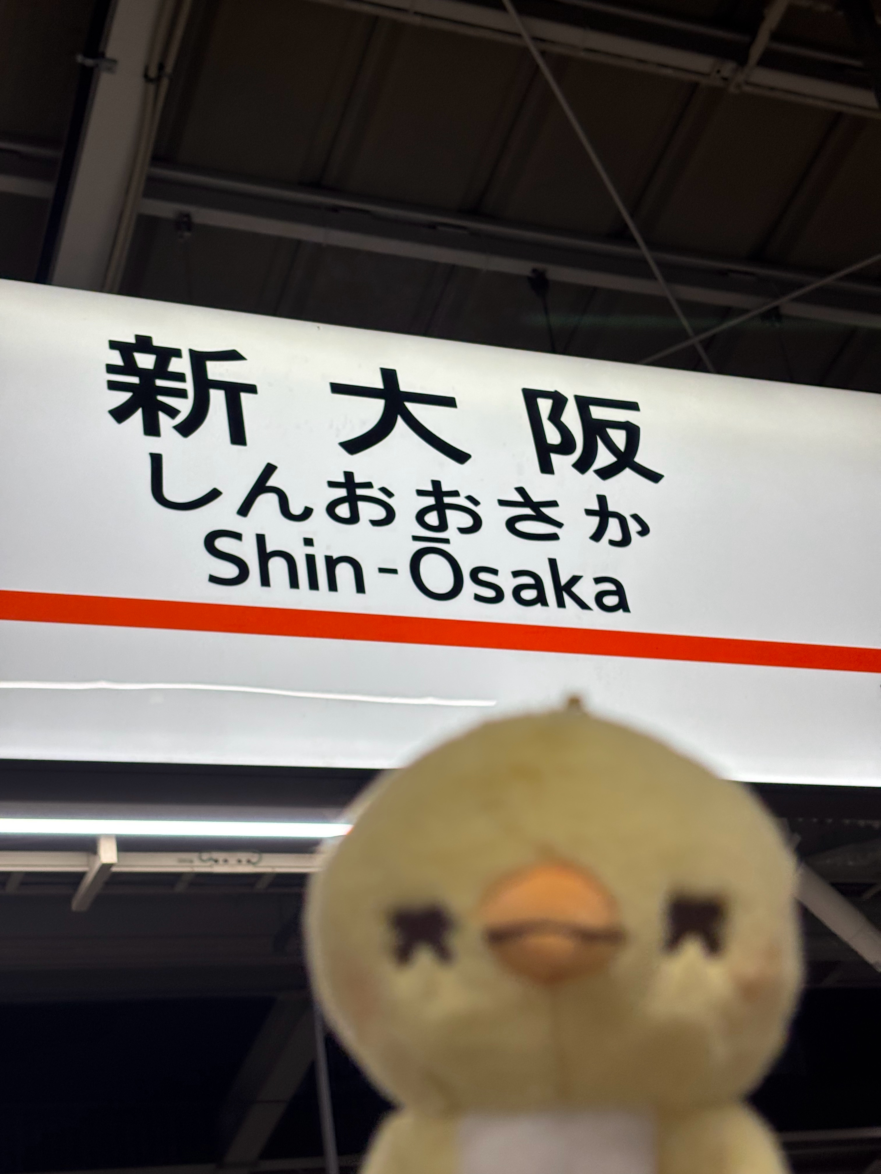 这次不是来usj了！ 