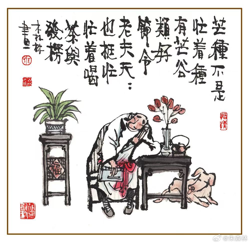 今日芒种