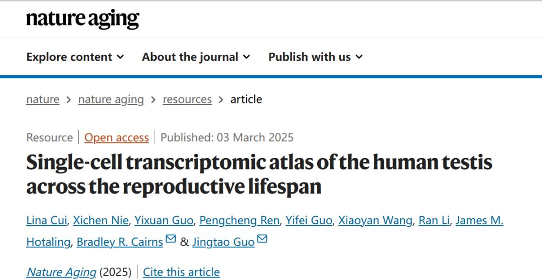 男人过了30岁就只能聊聊天？Nature子刊：男性睾丸30岁和50岁发生两次衰老