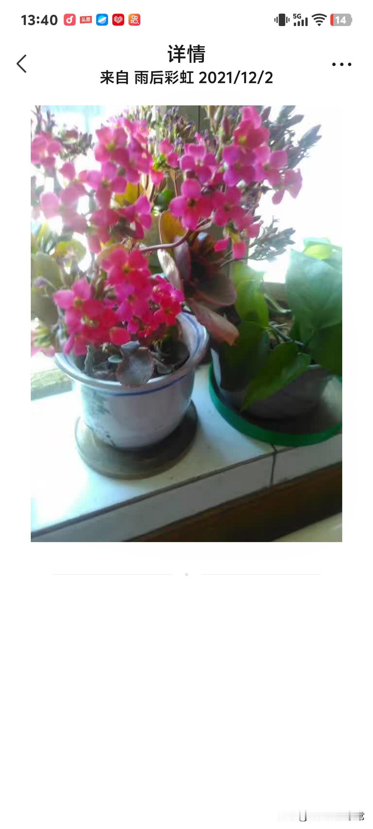 俺婶子和娘家断了来往好多年了，她听说她娘病了，想去看看，可是她又不敢，因为娘和哥