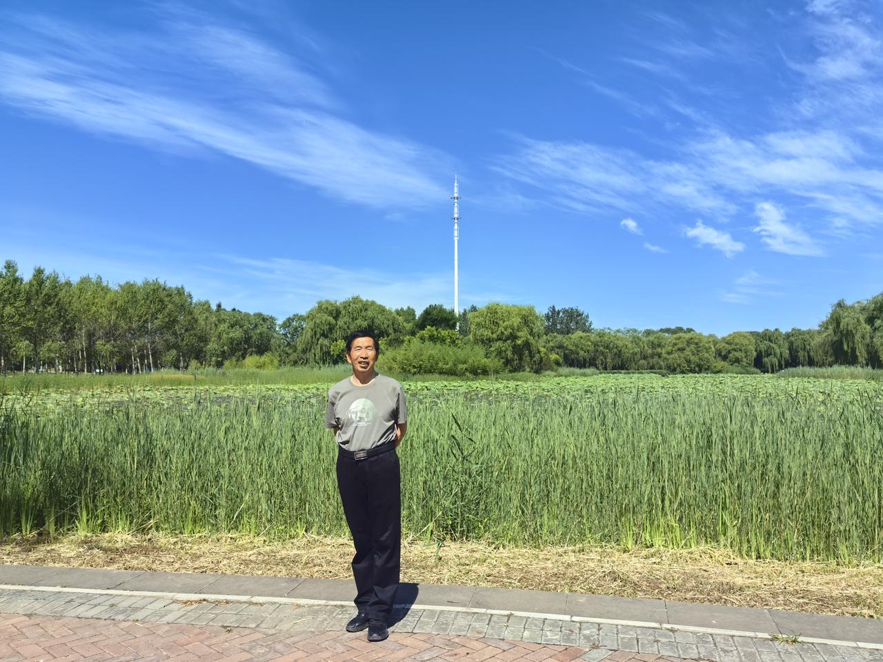 今天平谷的天真好，上午来到平谷湿地公园，赏荷花，听蛙鸣，观天像，看航班，真是非常