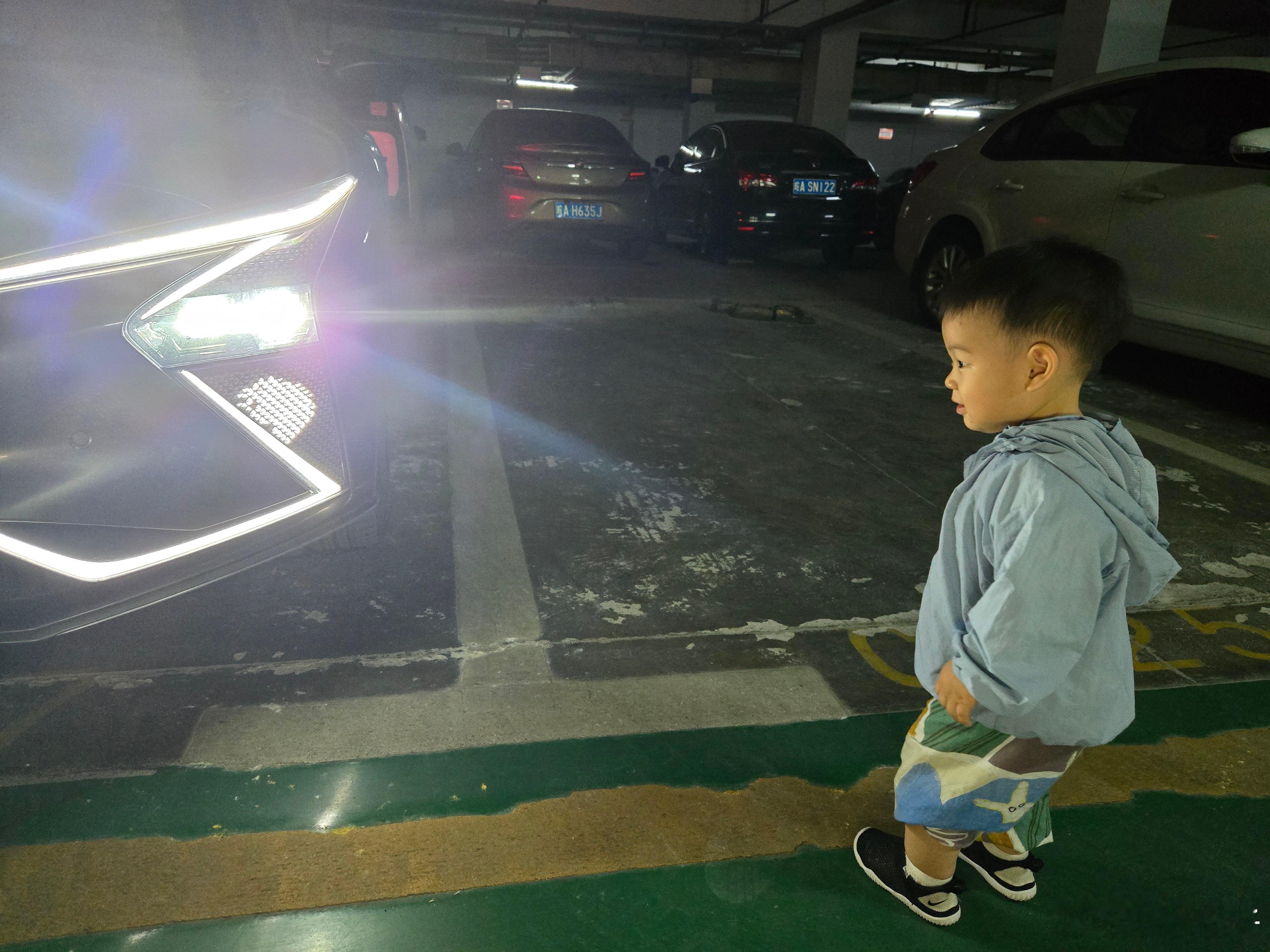 小朋友对电子小狗没有抵抗力每天上下车都要和它问好早几年推出DLP灯的智己被说是花