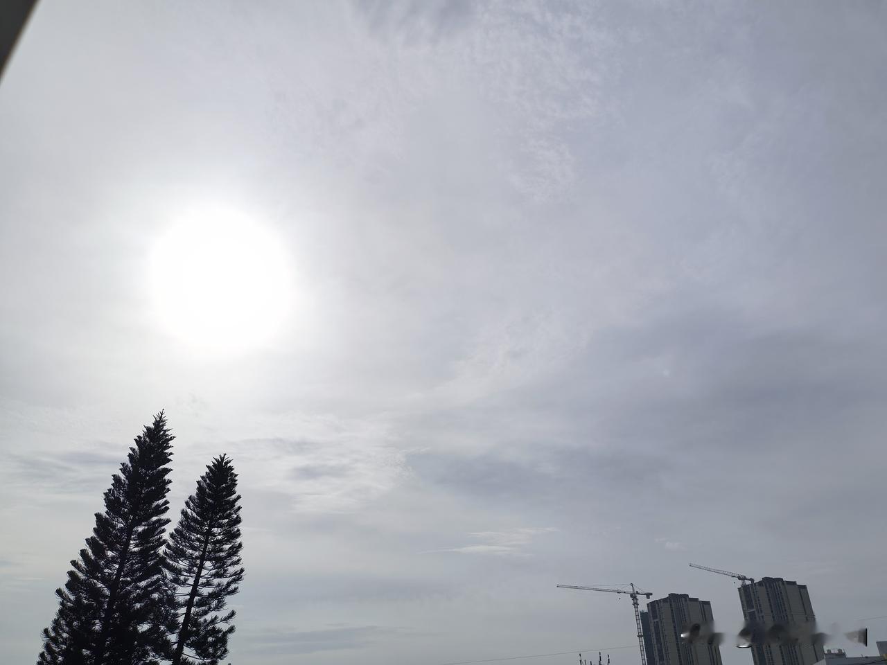 台风红霞趋向广东中东部沿海！将于25日晚上到26日早晨在广东中东部沿海登陆！
