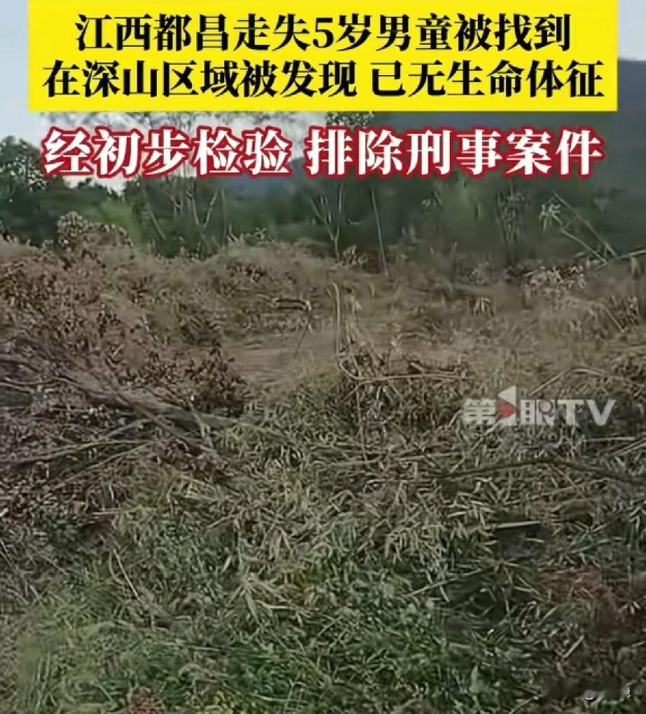 不幸的消息还是传来了，江西九江走失5岁男童李某远在事发地一公里处的山坡找到，只可