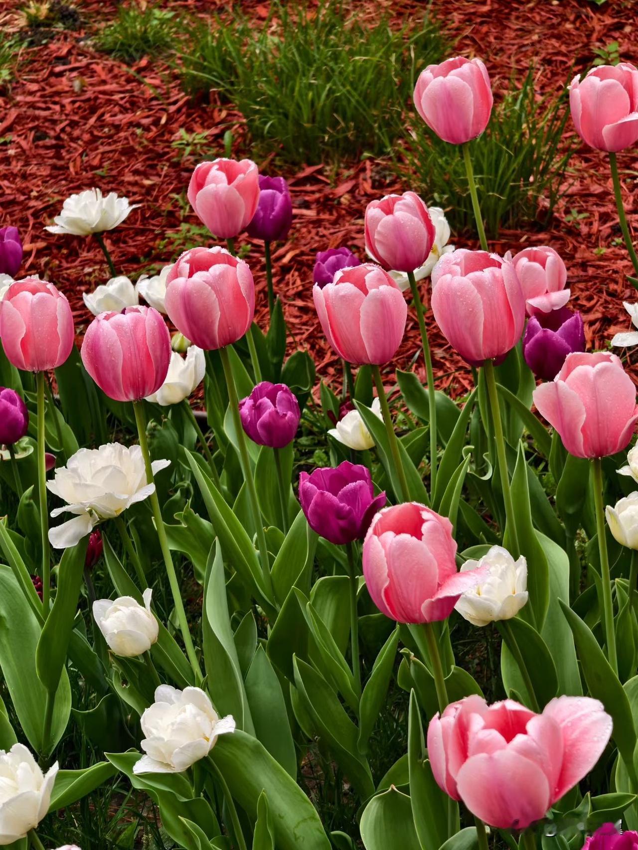 为什么称张雪峰为优秀企业家呢? 
【小对联】
上：顺势；
下：……？