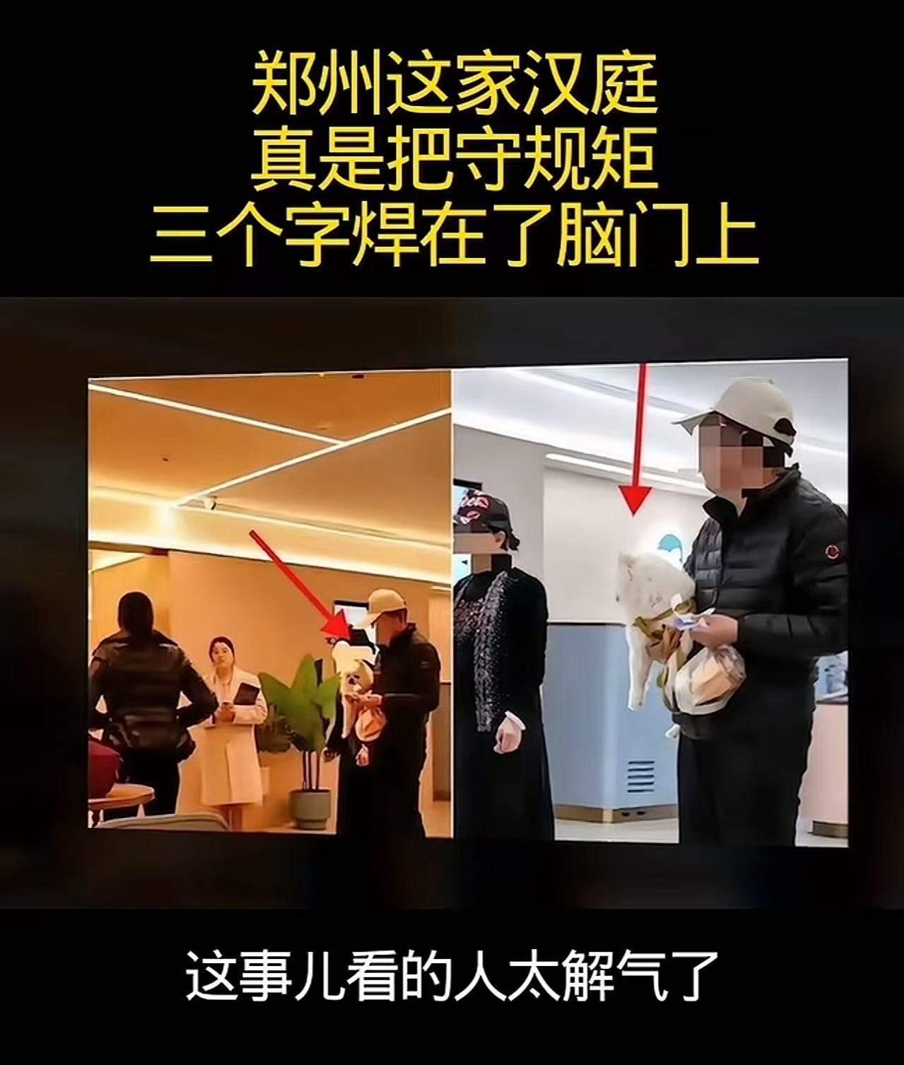 “凭啥不让带狗入住？”郑州一家汉庭酒店拒绝接待携带宠物狗的客人，硬是把四间已订好