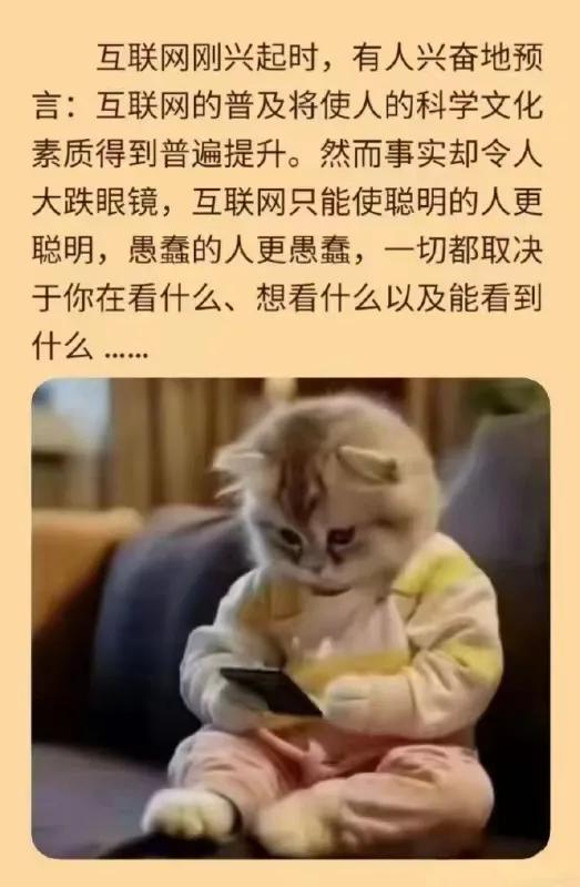 互联网既使聪明的人更聪明，又使愚蠢的人更愚蠢……