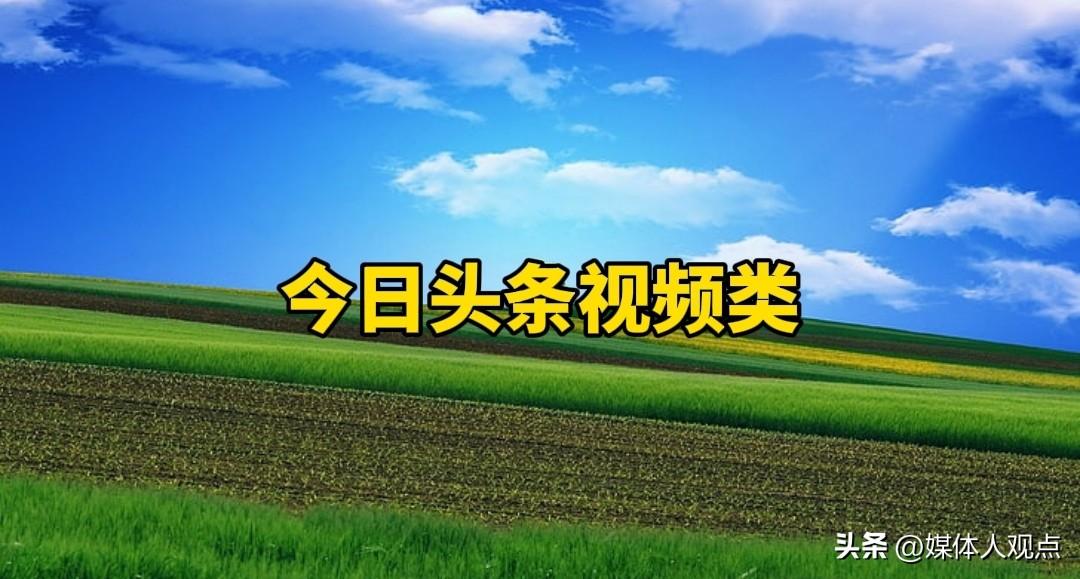 春日生活打卡季